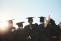 Groupe d'étudiants réunis en extérieur pour célébrer leur diplôme et leur réussite universitaire sous un ciel bleu